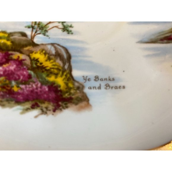Queen Anne Ye Banks And Braes Bone China Tea Cup And Saucer Set - Picture 9 of 10